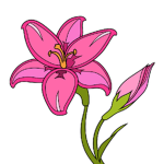 Flower power :)