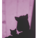 x TrippyxLove x