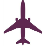 Purple leagin's Air force
