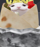 the preppy burritos