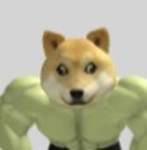 The Buff Doge Fans