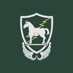 Operational Detachment Alpha 0113