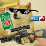 Doge charity group