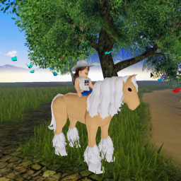 Willow Ranch (Testing)