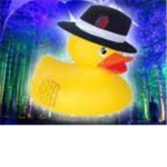 Duck Mafia