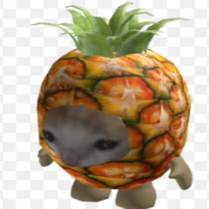 pineapple cat lolz Roblox decal