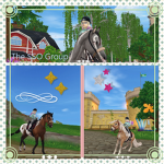 The SSO Group :-) (Deutsch)