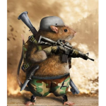 The Wild Rat Army.