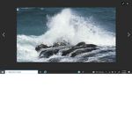THE SALTY SEA ADMIN GROUP