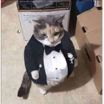 Maaaaad Mafia