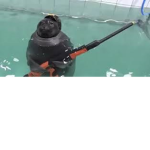 Seals With Guns