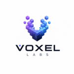 Voxel Labss