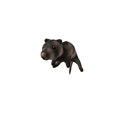 Forehead Ferret Friend
