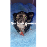 Qorbino games