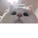 JordanandCassandra