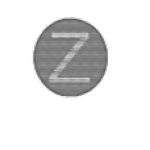 Zyborg