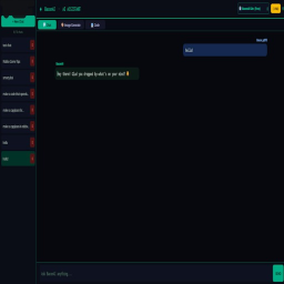 BaconAI - AI Chatting + Coding + Image Generation!
