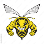OM TECH HIGHSCHOOL STINGERS