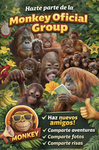 Monkey oficial group