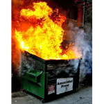 THE DUMPSTERFIRES