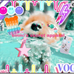 emmi's secret apparel