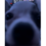 MEME_KING