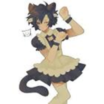Maid Catboys
