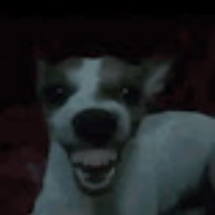 funny dog Roblox decal