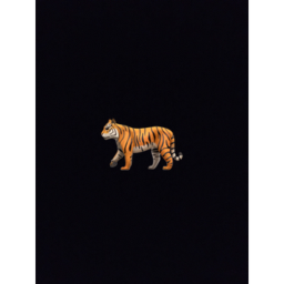 Tiger City