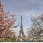 Bienvenue