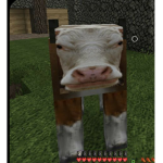 Peckl