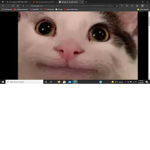 DOG MAN COMEC CLUB