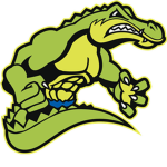 Byaa gator group