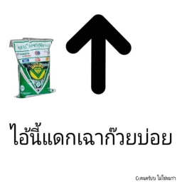 MEME thailand's Place Number: 11