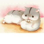 Mr. Snuggles Squad