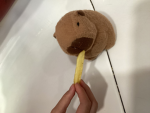 Jenny’s Capybaras