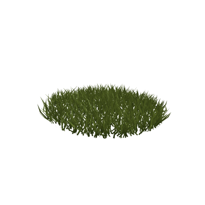 Grass