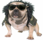 Who let the dogs out tribe