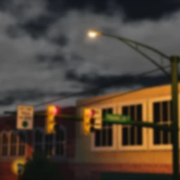 North Carolina icon