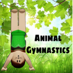 Official Animal Gymnastics