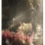 poisonmist