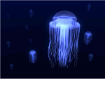 jelly fishers