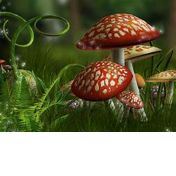 mushroom forest weirdcore/dreamcore
