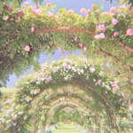 ✧
