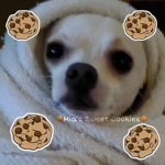 Mia’s Sweet Cookies