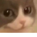 Charlie's Memes