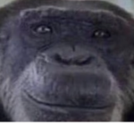 The Monke United