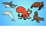 ~Ocean Animals~