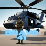 Bravo 41