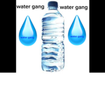 Midi Uni’s group